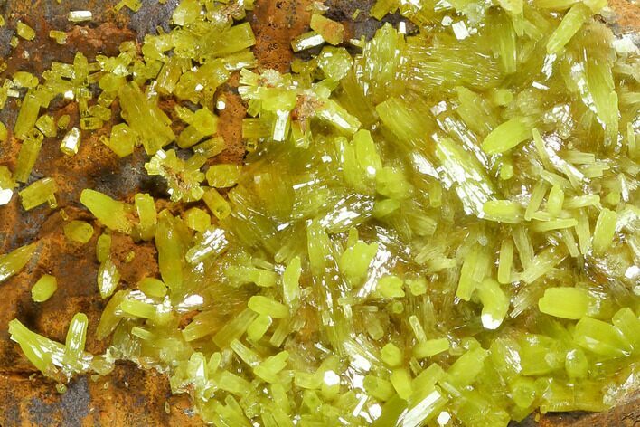 Vibrant Green Pyromorphite Crystal Cluster - China #146670
